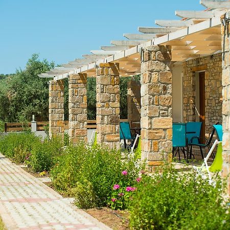 Olive Land Villas Limenaria  Ngoại thất bức ảnh